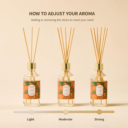 Airkeep Reed Diffuser Oil Set with Reed Sticks, Ocean Mist Aromatherapy Oil Scent Diffuser for Home Office Bathroom Decoration Perfume and Gifts 3.38 oz/100ml