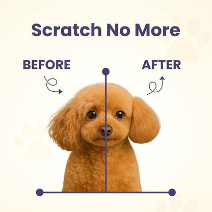 Project Sudz Spa Collection Liquid Shampoo – Driftwood & Amber | Natural Pet Shampoo for Dogs & Cats | Eco-Friendly, Gentle, Non-Toxic, Made in USA