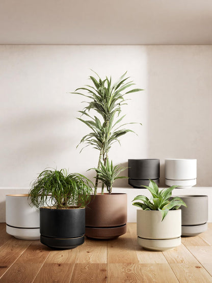LE TAUCI 14 Inch Large Plant Pot with Saucer, Ceramic Outdoor & Indoor Big Planter with Drainage Hole, Mesh Pad Included, Unglazed Porous, Modern for Home and Patio, Charcoal Gray