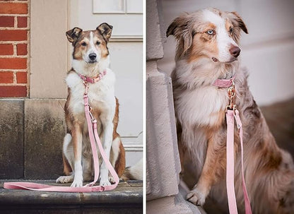 Leather Dog Collar and Leash Set 7FT Reflective at Night - Soft and Easy to Clean Vegan Leather with Gold Metal Buckle for Small Medium Large Dogs (L, Pink)