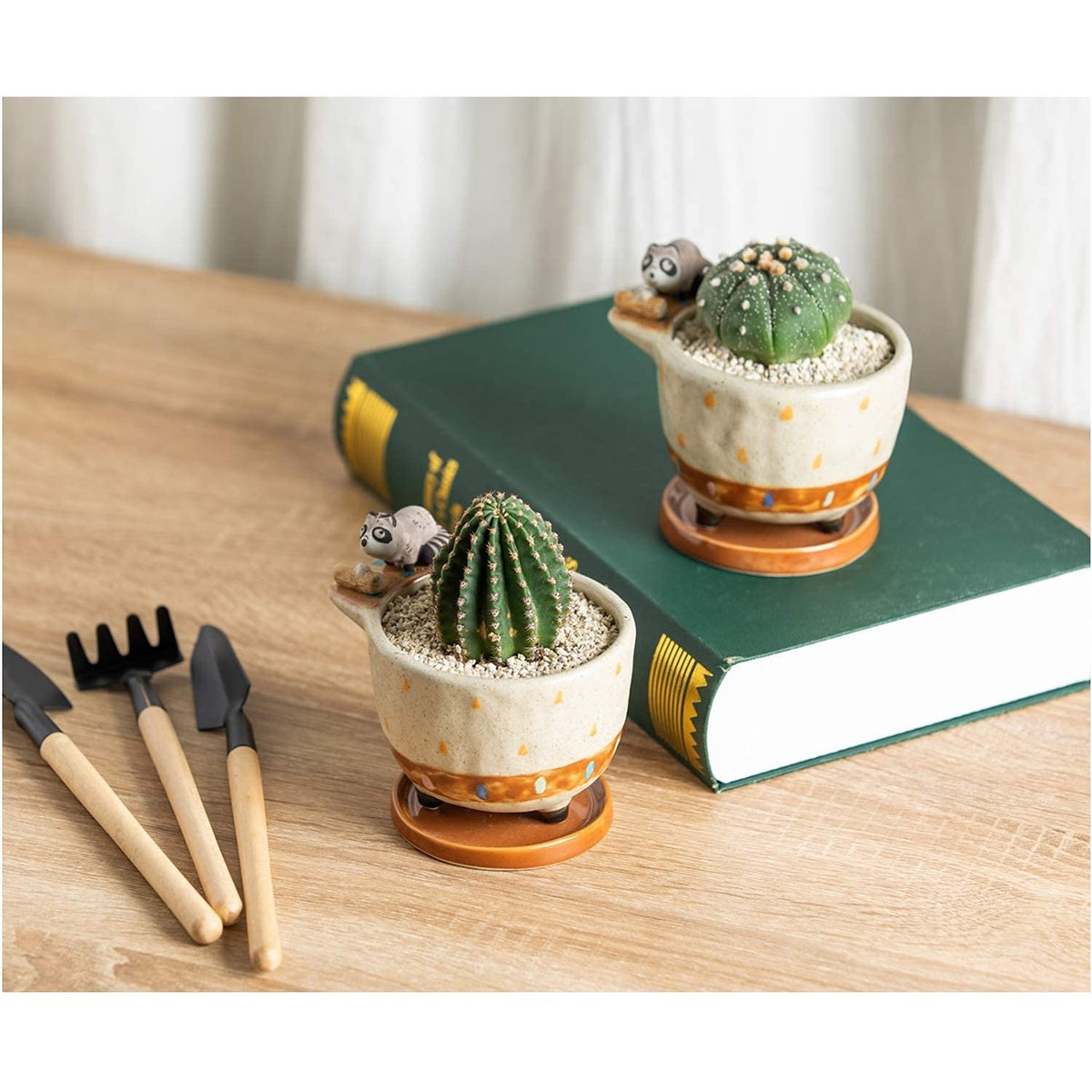 MAKOLO Ceramic Succulent Planter Small Pot with Drainage Hole and Tray for Cactus Flower Plant Container Shelf Home Office Desk Decoration (Raccoon)