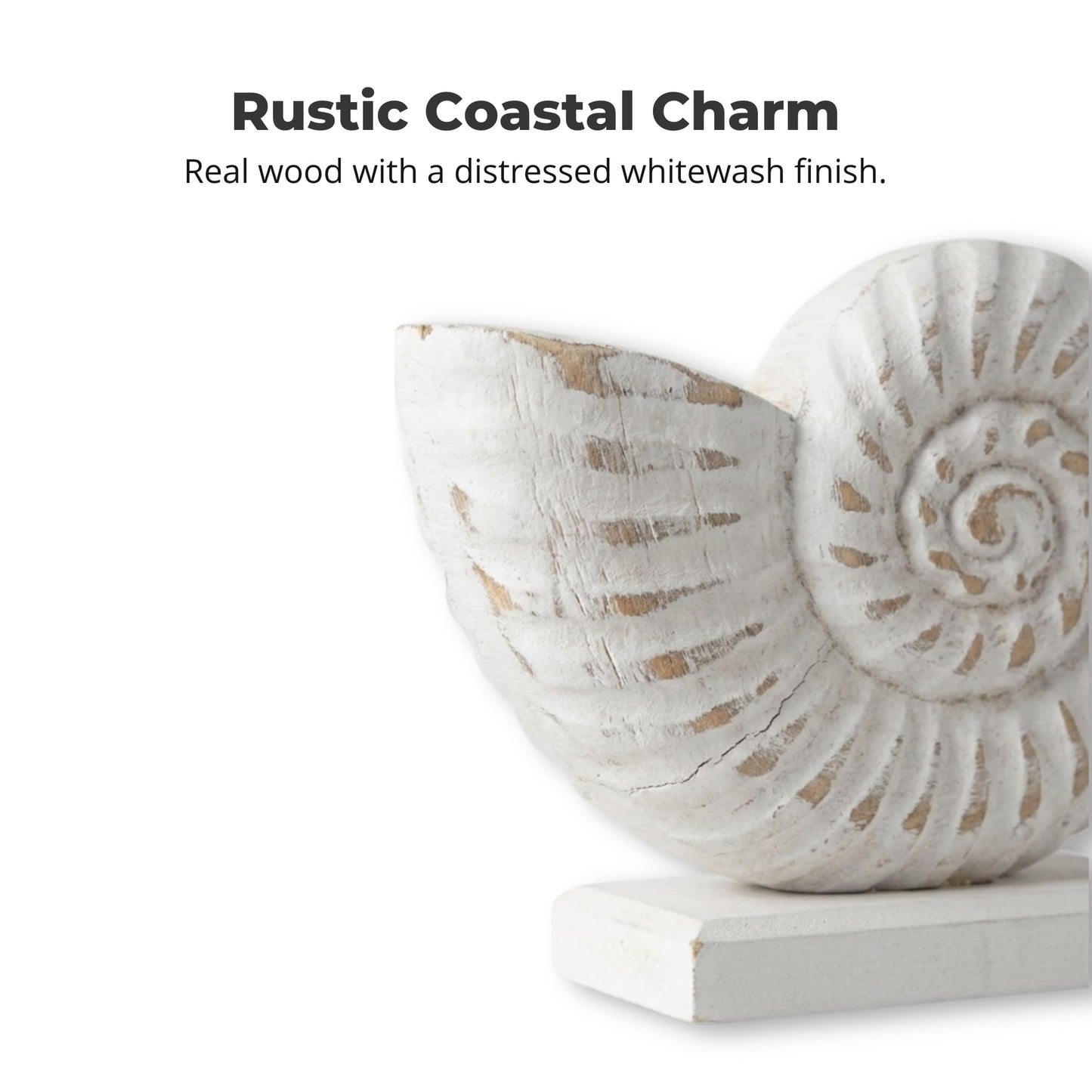 The Bridge Collection Whitewashed Wooden Seashell Figurine (Nautilus Shell)