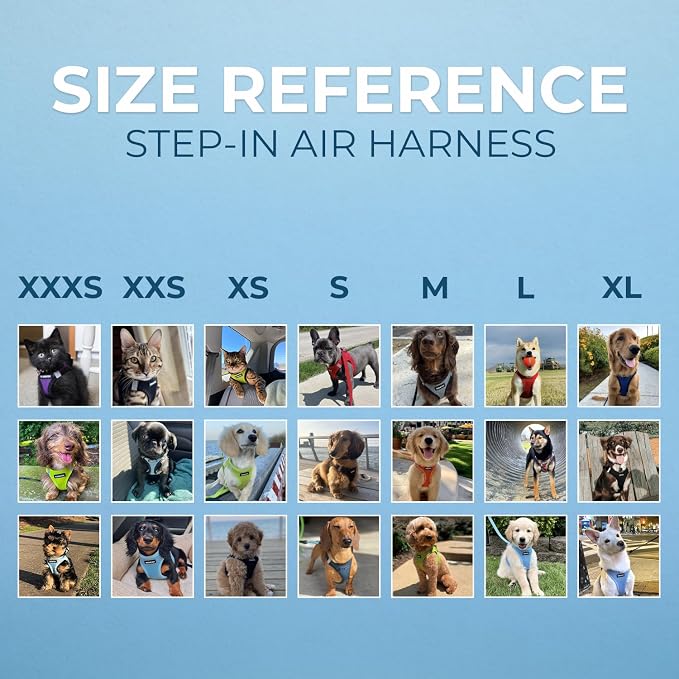 Best Pet Supplies Voyager Step-in Air All Weather Mesh Harness and Reflective Dog 5ft Leash Combo with Neoprene Handle, for Small, Medium and Large Breed Puppies - Red/Black Trim, X-Small