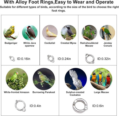 Retractable Bird Leash,Parrot Flying Rope,Anti-Bite Wire Rope Parrot Leash,Adjustable Bird Harness for Training,with 5pcs Alloy Foot Rings,for Budgies,Cockatiels,Crested Cockatoo,Macaws,20ft
