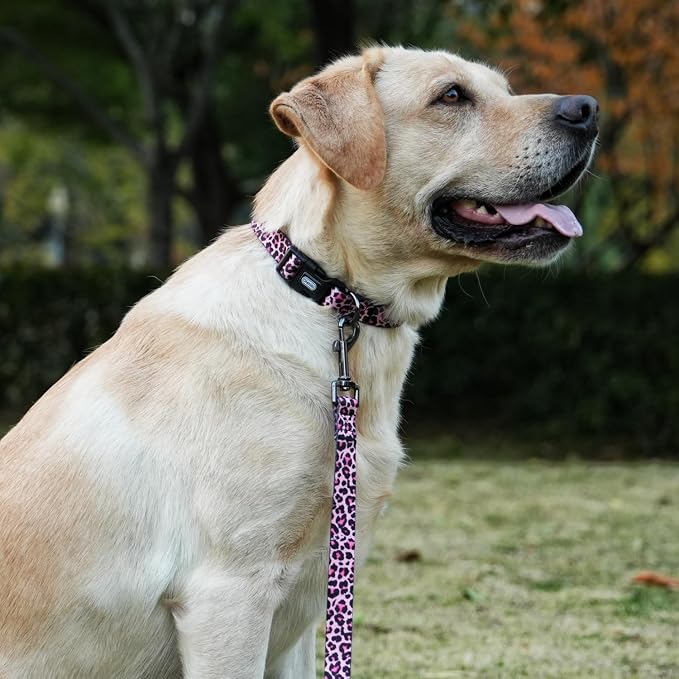 Dog Collar Leash Set, Leopard Pattern, Polyester Material, Adjustable Collar and 5ft Matching Leash, for Puppy Dogs.(XS, Colorful Leopard)