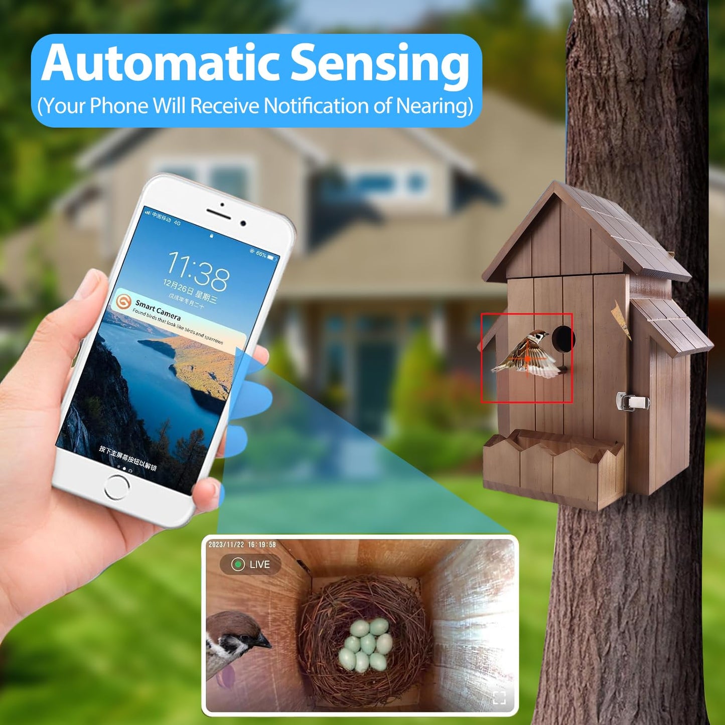 Smart Bird House with Camera, 1080p HD 2.4G WiFi Outdoor Bird Box. Features Auto Capture Bird Video & Motion Detection, Night Vision, App Alerts and Serves as a Bird Nesting Box (Dark, Normal)