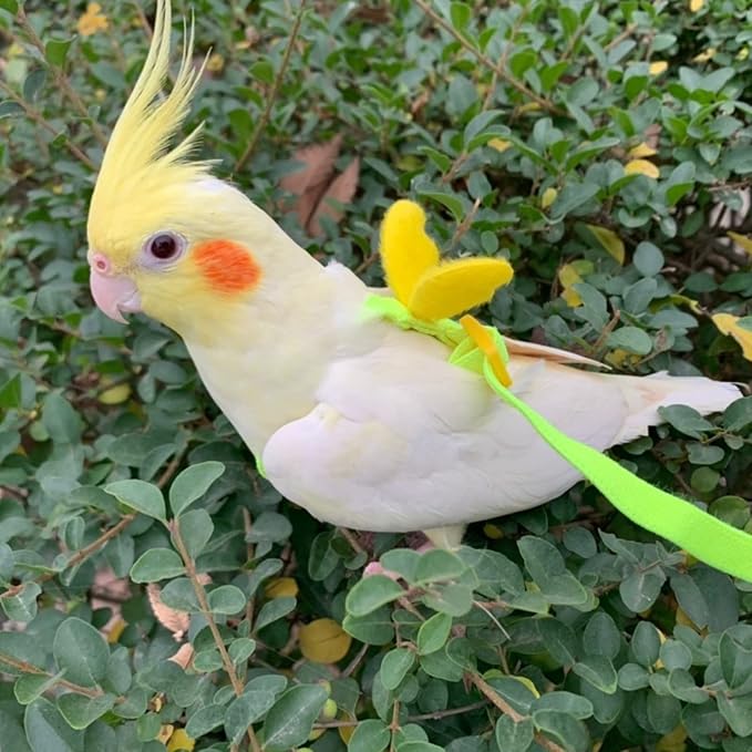 Pet Parrot Bird Harness Leash Adjustable Bird Flying Harness Traction Rope with Cute for Parrots Budgerigar Lovebird Cockatiel Mynah Outdoor Training Toy (Mannikin/Finch,Yellow)