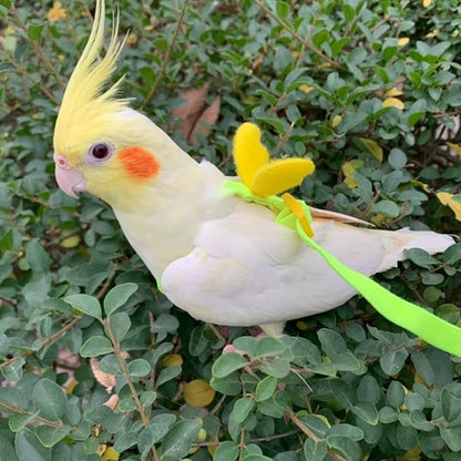 Pet Parrot Bird Harness Leash Adjustable Bird Flying Harness Traction Rope with Cute for Parrots Budgerigar Lovebird Cockatiel Mynah Outdoor Training Toy (Quaker/Sun Conure,Yellow)