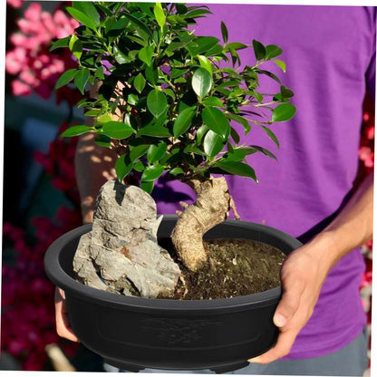 DOITOOL 2Pcs Bonsai Training Pot 15 inch Plastic Flower Pot Bonsai Pot with Drainage Hole, Oval Bonsai Planter Pot Plants Growing Pots for Nursery, Garden, Balcony, Black