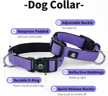 IVY&LANE Reflective Dog Collar and Leash Set,Adjustable Neoprene Padded Dog Collars for Puppy, Breathable Nylon Pet Collar for Small Medium Large Dogs(Small,Purple)