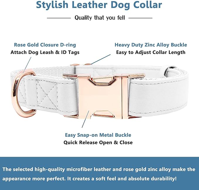 Soft Leather Dog Collar and Leash (6.6') Set - Stylish Rose Gold Heavy Duty Metal Buckle, 4 Adjustable Lengths Leash for Small Medium Large Dogs - Comfortable & Easy to Clean White XS(8"-12")