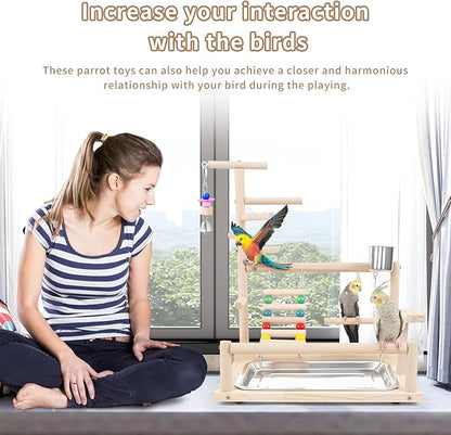 Bird Playstand Cockatiels Playground Perch Stand Parrot Play Gym for Parakeets Conures Parrotlets and Finches, Easy Assembly Includes Colorful Toys and Perch 1Ladder with Platform