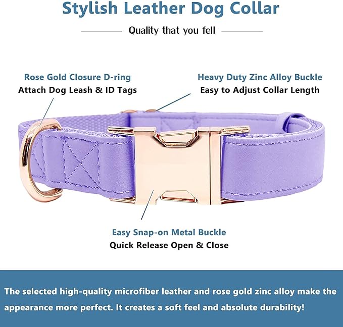 Soft Leather Dog Collar and Leash (6.6') Set - Stylish Rose Gold Heavy Duty Metal Buckle, 4 Adjustable Lengths Leash for Small Medium Large Dogs - Comfortable & Easy to Clean (M, Light Purple)