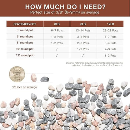 NUPICK 3 lbs Pebbles for Indoor Plants, 3/8 Inch Pea Gravel for Fish Tank, Decorative Rocks for Succulent, Natural River Stones for Vases, Cactus, Landscaping, Bird Bath, Aquarium, Mixed