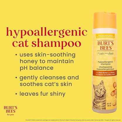 Burt's Bees for Pets Hypoallergenic Cat Shampoo with Shea Butter and Honey, Gentle Formula for Indoor Cats with Dry or Sensitive Skin, pH Balanced, Fragrance-Free, 10 Fl Oz - 6 Pack