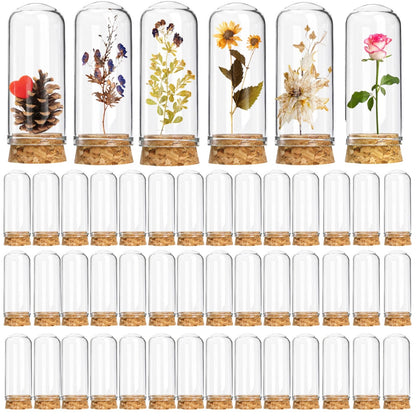 Mezchi 50 Pack 40 ml Glass Cloche Dome, 3 Inch Small Glass Bottles with Cork Stoppers, Decoration Message Bottle Vial Cork for Candy, DIY Art Crafts, Wedding Party Favors