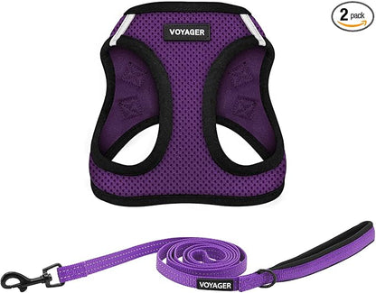 Best Pet Supplies Voyager Step-in Air All Weather Mesh Harness and Reflective Dog 5ft Leash Combo with Neoprene Handle, for Small, Medium and Large Breed Puppies - Purple/Black Trim, Small