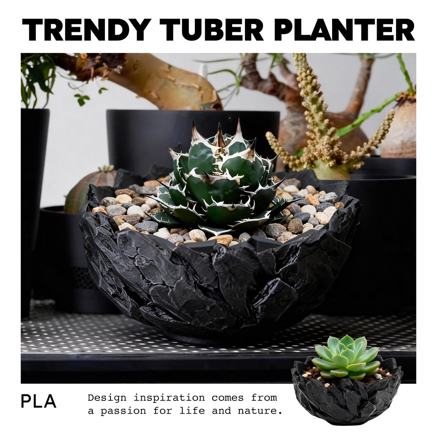 Dak Haan Succulent Pot with Drainage – Indoor Plant Pots, Artistic Design Flower Pots,Personalized Custom Mothers Day Plant Pot, Shallow Succulents Pots Bowls for Home, Office, Weddings & Party Décor