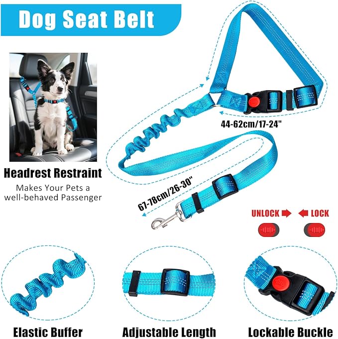 No Pull Dog Harness Adjustable Collar & Leash Set - Dog Halter Harnesses Collapsible Bowls & Poop Bag Dispenser Muzzle ID Tags Toys Fits Small Medium Large Dogs (Blue-L)