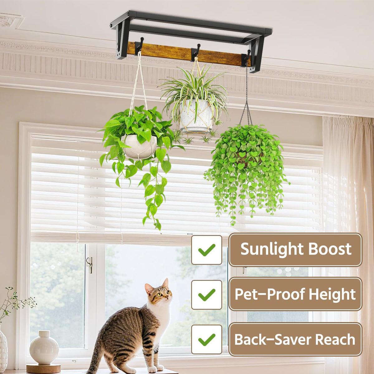 LASZOLA 2 Pcs Plant Hanger Indoor with 6 Heavy Duty Hanging Hooks, Metal and Wood Wall Mounted Plant Hanging Rod, Plant Shelves Holder Bar for Kitchen Window Ceiling (Pot/Chain/Plants not Included)