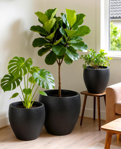 homenote Flower Pots 14.5/12/9.6 Inch,Large Plant Pots Indoor with Drainage,Plastic Pots for Plants,Garden Pots for Outdoor,Large Planters for Indoor Plants,Big Plastic Planter,Off-Black(3 Pcs)