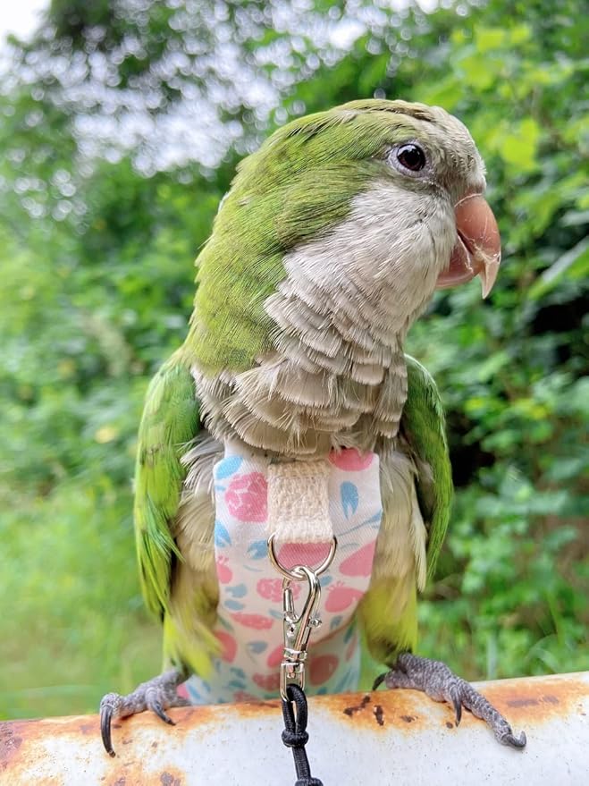 Bird Diaper Harness Flight Suit Clothes, Parrot Flight Suit with Leash, Bird Flying Clothes with Rope and Handle for Outdoor Activities Training (Pink Without Leash,Medium)