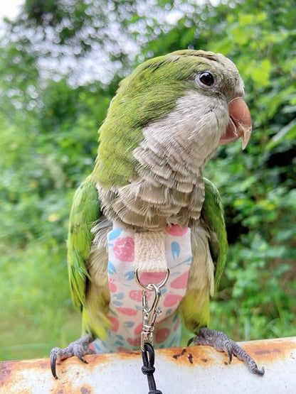 Bird Diaper Harness Flight Suit Clothes, Parrot Flight Suit with Leash, Bird Flying Clothes with Rope and Handle for Outdoor Activities Training (Pink Without Leash,Small)