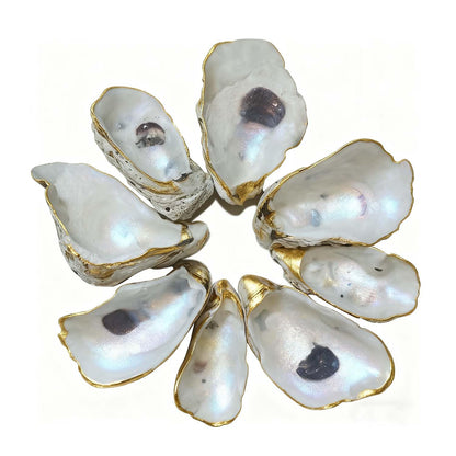 Dual Dou Natural Concave Oyster Shells for Crafts 3"-4" Large Oyster Shells Bulk for Home Vase Shell Painting, Beach Wedding & Christmas Decor, Vase Filler, DIY Home Decor, Craft Shells of 20pcs