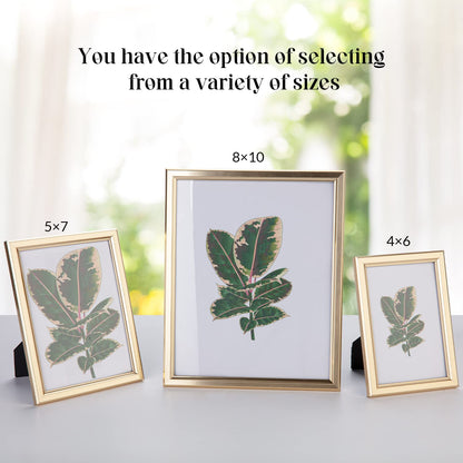 euwazram 8x10 Picture Frame - Set of 5, Matte Gold 8 x 10 Photo Frame with High-Definition Glass, Modern 8x10 frame for Tabletop or Collage Wall, Perfect Christmas Frame