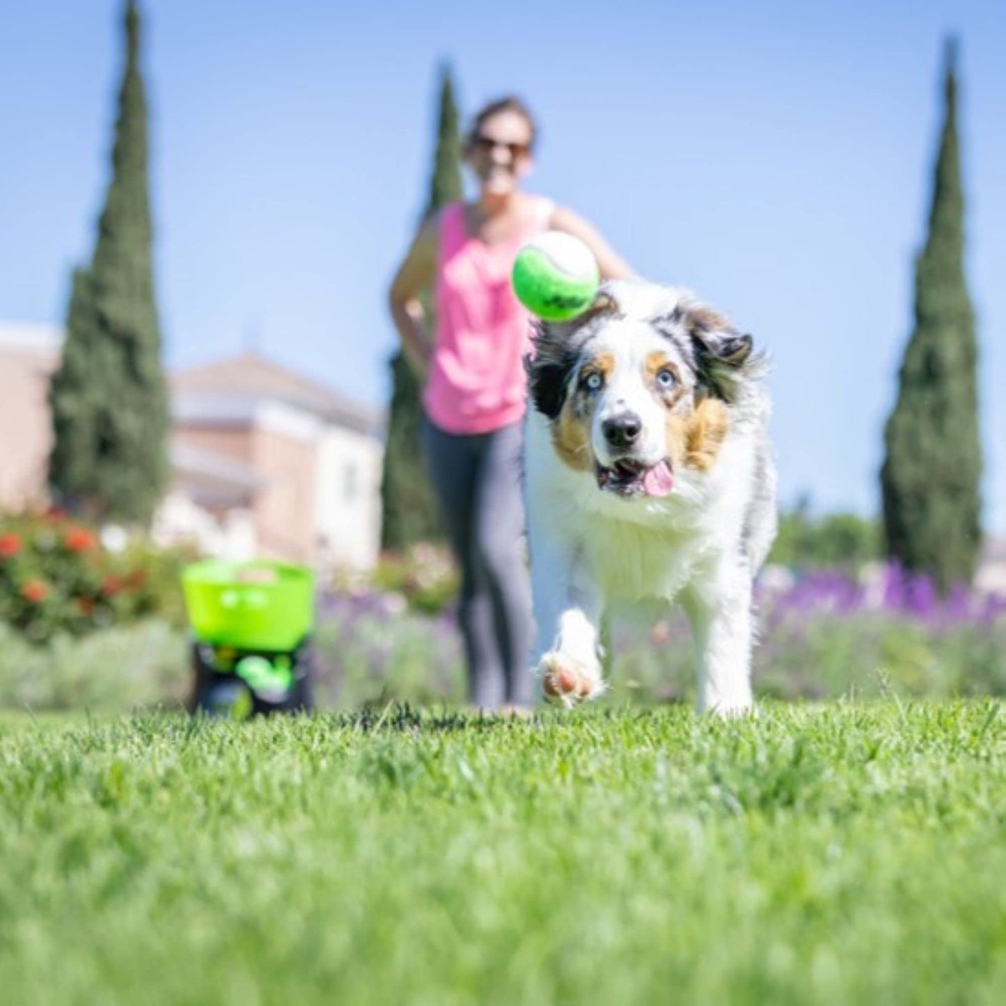 Hyper Pet GoDogGo Fetch Machine Dog Ball Launcher & Automatic Ball Launcher for Dogs With Five 2.5" Balls for Dogs 20-60 Pounds