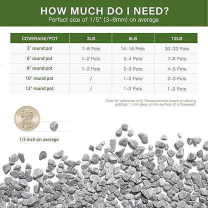 NUPICK 6 lbs Pebbles for Indoor Plants, 1/5 Inch Pea Gravel for Fish Tank, Decorative Rocks for Succulent, Natural River Stones for Vases, Cactus, Landscaping, Bird Bath, Aquarium, Grey