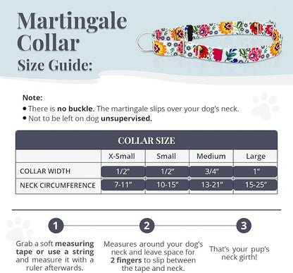 Lucky Love Dog Martingale Dog Collar - Adjustable, No-Slip, Durable, & Soft Webbing Collar for Male and Female Dogs Ideal for Training & Walking - Ladybird, Medium