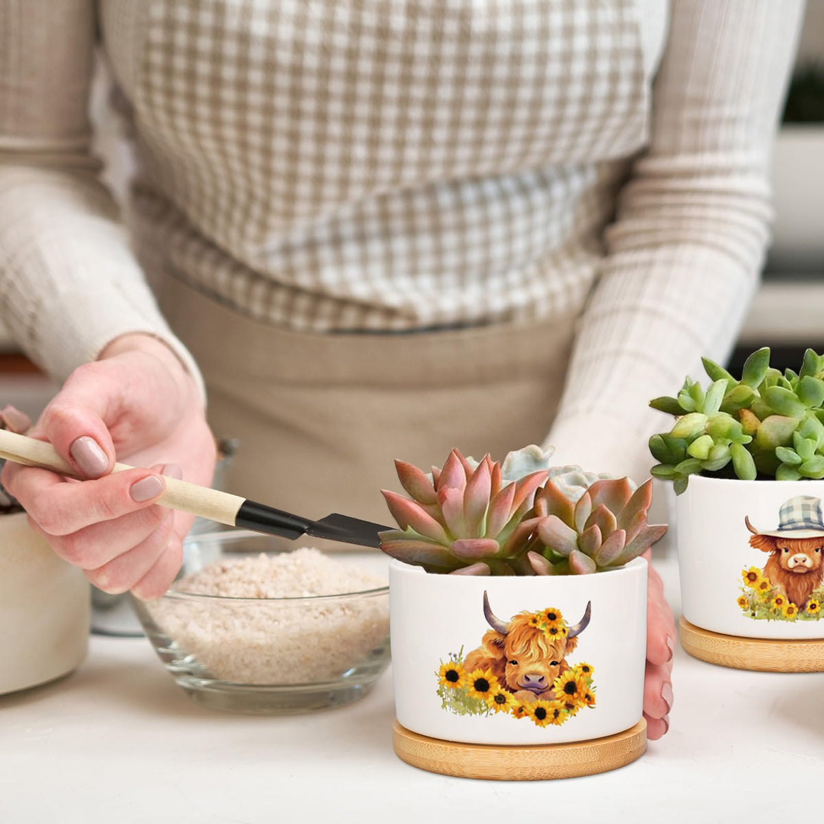 FYSUIMU 6Pcs Highland Cow Decor Gift Planter Rustic Cow Sunflower Ceramic Succulent Pots Animal Plant with Tray Appreciation Gift for Farmhouse Home Office Kitchen Bathroom, No Plants