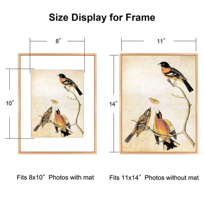 BKABOT 11x14 Picture Frame Set of 3, Gold Metal Photo Frames with HD Glass, Fits 8x10 with Mat or 11 x 14 without Mat, Display for Wall