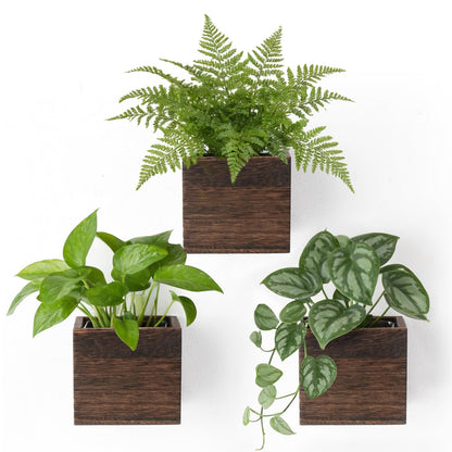 Dahey Hanging Artificial Plant Eucalyptus Wall Decor and 3 Pack Wood Wall Hanging Planter Boxes for Rustic Farmhouse Living Dining Room Bathroom Bedroom Kitchen Garden Home Decor