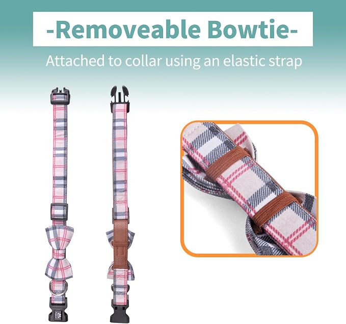 IVY&LANE Dog Collar with Bowtie and Leash Set | Plaid Adjustable Dog Collar | Detachable Bow Tie |5 FT Dog Leash | for Small Medium Large Dogs | Checkered Beige | Large