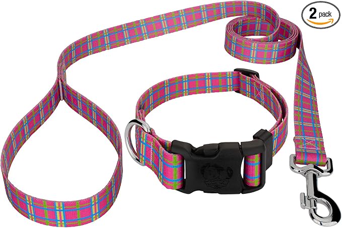 Country Brook Petz - Bubblegum Pink Plaid Everyday Collar and Leash - Plaid and Argyle Collection Featuring Charming Designs (5/8 Inch, Small)