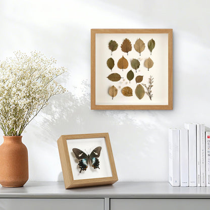 6 Pack Shadow Box Frame - 1.2" Deep Shadow Boxes 3D Picture Frame (6 Pcs/ Natural, 5"x5")