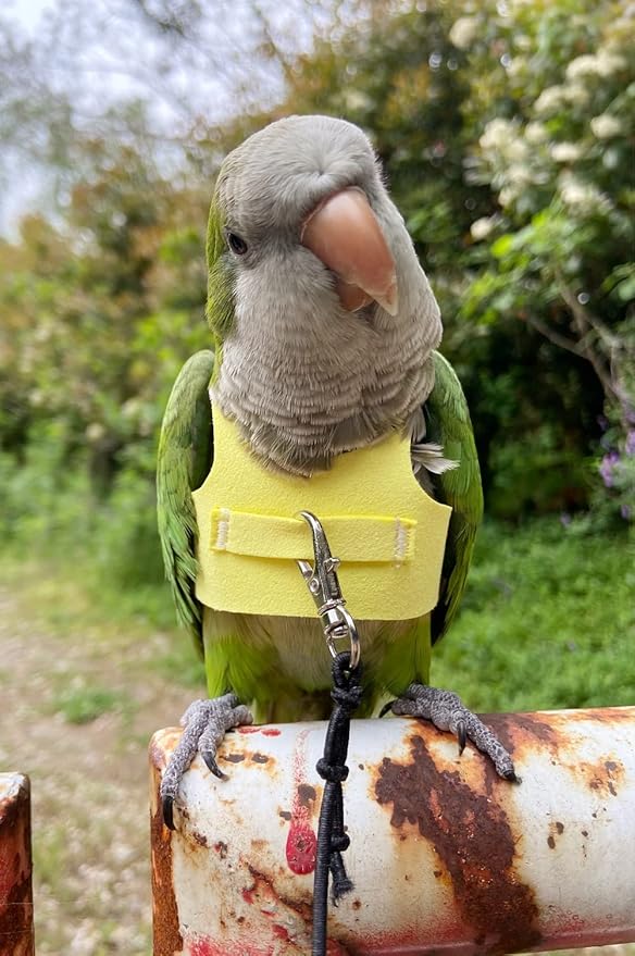 Bird Flight Harness Vest Parrot Flight Suit with Leash for Parakeets Cockatiels Conures Budgies, Bird Flying Clothes with Rope and Handle for Outdoor Activities Training (XS,Yellow)