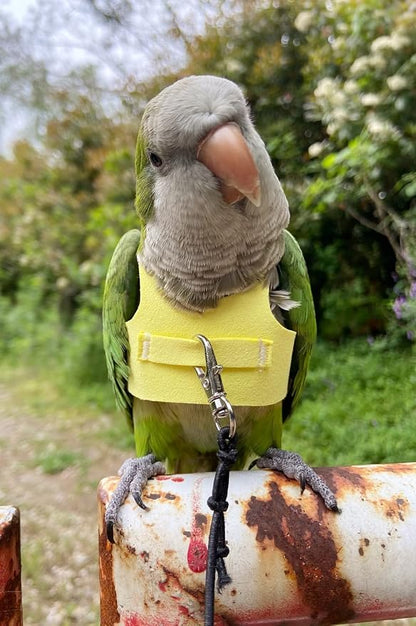 Bird Flight Harness Vest Parrot Flight Suit with Leash for Parakeets Cockatiels Conures Budgies, Bird Flying Clothes with Rope and Handle for Outdoor Activities Training (L,Yellow)