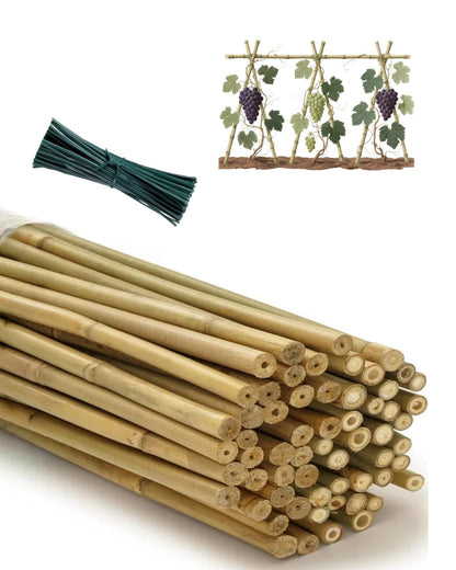 Moromyse 60 Pack Bamboo Stakes for Plant 5 Feet (58inch) with Twist Ties Bamboo Sticks Plant Support Garden Stakes Poles for Tomatoes Cucumber Grapes Pole Beans Trees Potted Dahlia Flowers