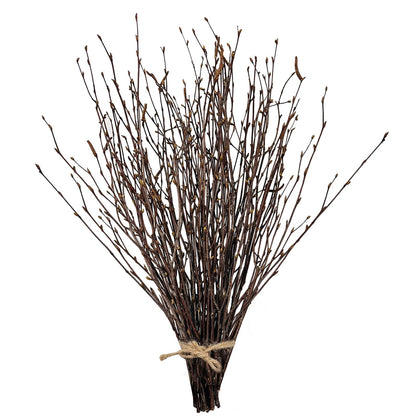 17 Inch Natural Birch Branches Dried Birch Twigs Wreath Making Supplies Dried Plants for Rustic Home Decor Easter Stems Vase Filler DIY Crafts Vases Tall Wreath Christmas Decoration Wedding (50Pcs)