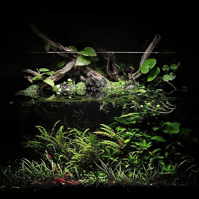 Ultum Nature Systems Controsoil - Freshwater Aqua Soil Substrate for Fish, Shrimp, Live Plant Propagation and Aquascaping - 6.8pH Low Ammonia, Volcanic Ash - Black, Normal (3 Liter)