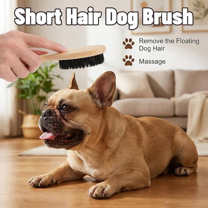 Soft Boar Bristle Dog Brush for Short Haired, Gentle Deshedding & Grooming Tool, Ideal Pet Hair Brush, Wood Handle Soft Pets Hairs Brushes for Short Hair Cats and Small Dogs, Small