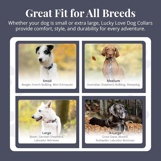 Lucky Love Dog Martingale Dog Collar - Adjustable, No-Slip, Durable, & Soft Webbing Collar for Male and Female Dogs Ideal for Training & Walking - in Unique Pongo Pattern, Medium Size