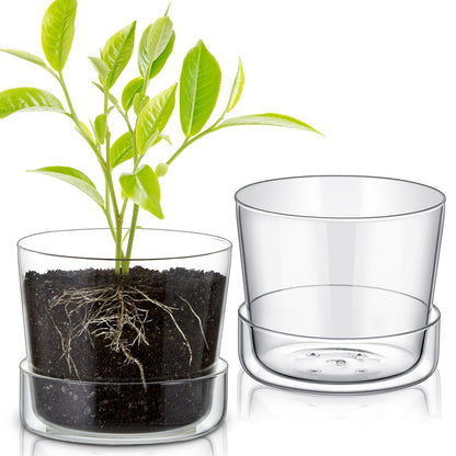 Singhoow 2 Sets 6 Inch Glass Planter with Drainage Hole and Tray Indoor Clear Plant Pots with Saucer Modern Decorative Orchid Glass Pot for Outdoor Flower Plants