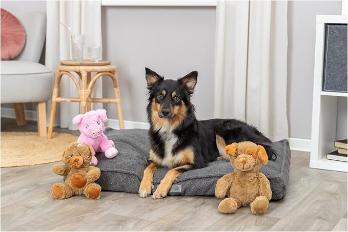 TRIXIE Be Eco Eddy The Teddy Plush Dog Toy for All Dogs, 9" Fun and Cuddly Squeaky Dog Toy, 98% Recycle Material