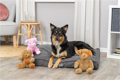 TRIXIE Be Eco Eddy The Teddy Plush Dog Toy for All Dogs, 9" Fun and Cuddly Squeaky Dog Toy, 98% Recycle Material