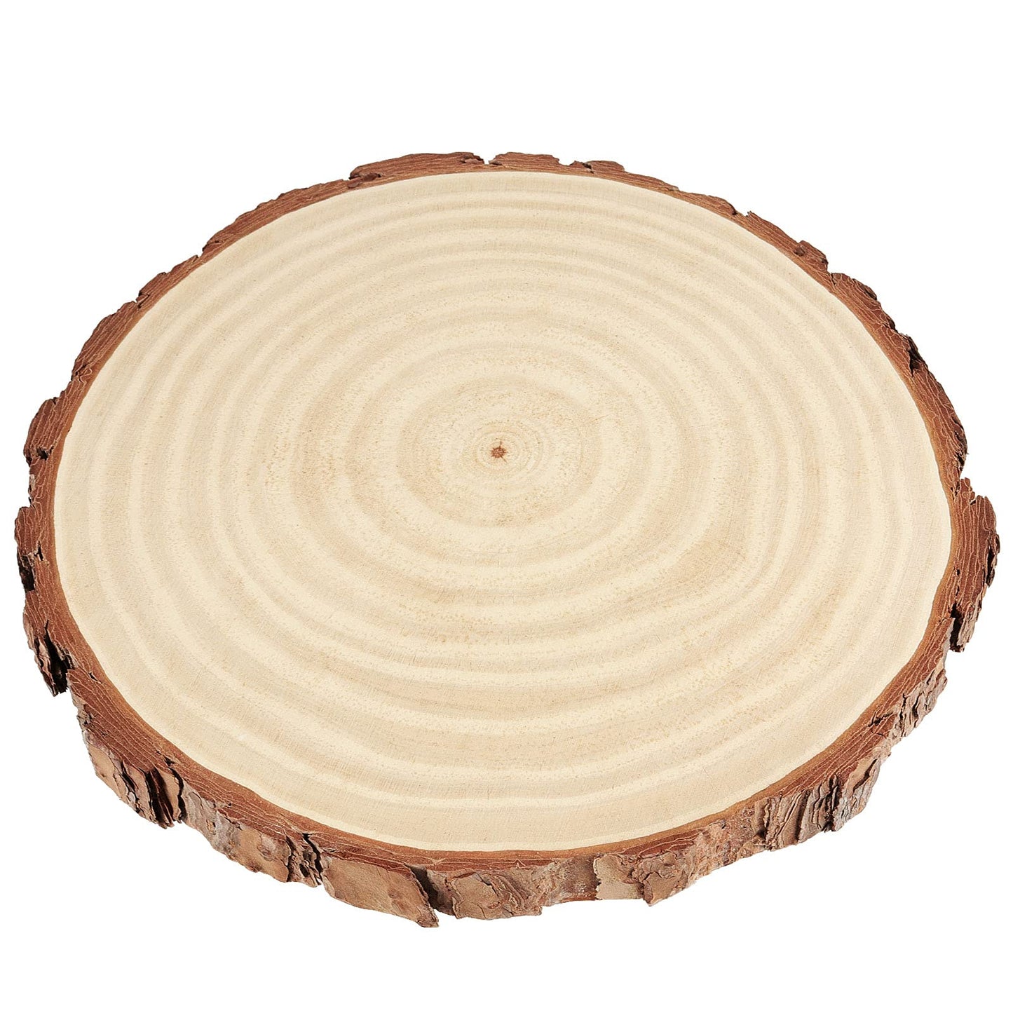 PINGEUI 6 Piece 9-10 Inch Natural Wood Slices, Unfinished Natural Wood Tree Slices with Bark, Large Round Tree Wood Discs Wooden Circles Tree Bark Slice for Crafts
