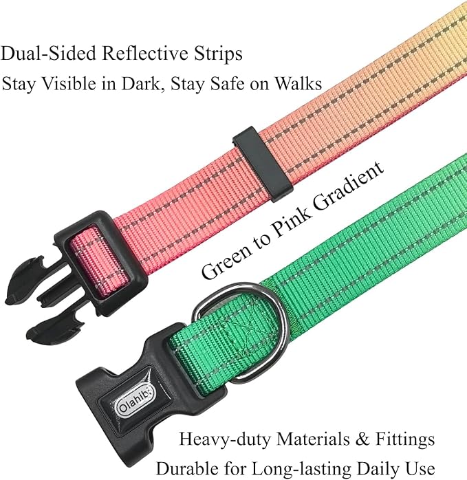 Dog Collar Leash Set, Gradient Color, with Safety Reflective Strips, 5 ft Matching Leash, Neoprene Padded Handle, Adjustable 4 Sizes for Small Medium Large Dogs.(XS, Green Orange)